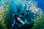 Private Diving Lesson | Alain and Oxybulles welcome individuals, families, or groups Rawai