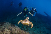 Welcome to meet Alain, in Rawai “Simply one of Phuket’s best-personalized Try Dives adventures” Rawai