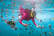 Phi Phi Island & Khai Island | One day trip Ratsada